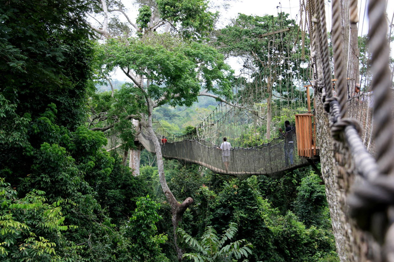 Plan Your Ghana Safari Adventure - Wildlife, Nature & Culture
