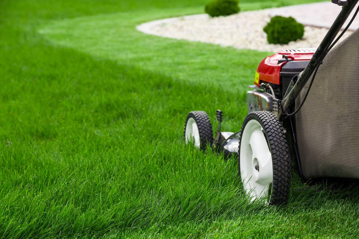 Lawn Equipment Rental in Accra: Affordable Tools for Landscaping and Gardening