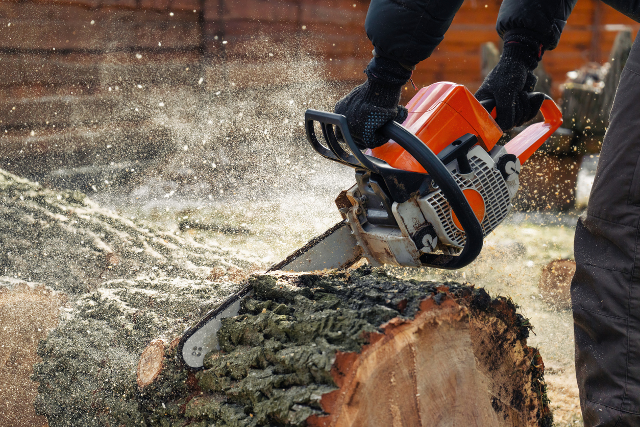 Affordable Chain Saw Rentals in Accra for Tree Trimming and Landscaping
