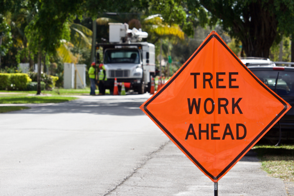 Tree Trimming and Pruning: Costs, Benefits, and Techniques