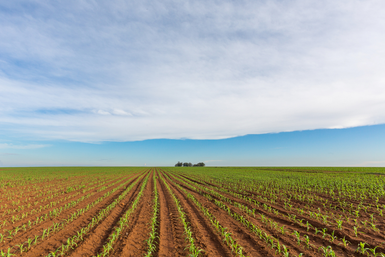 African Land: Secure, High-Yield Agriculture Investments
