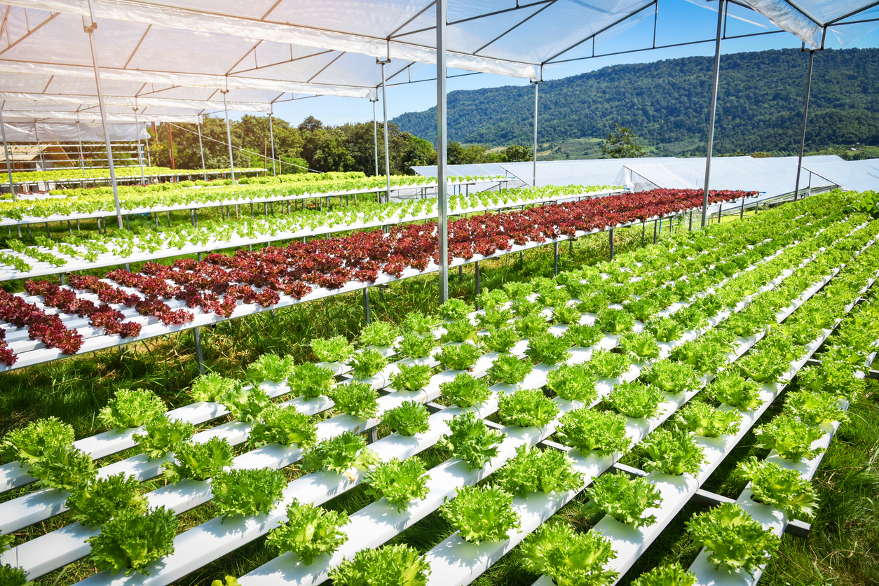 Boost Africa’s Agriculture with Strategic Irrigation Investment