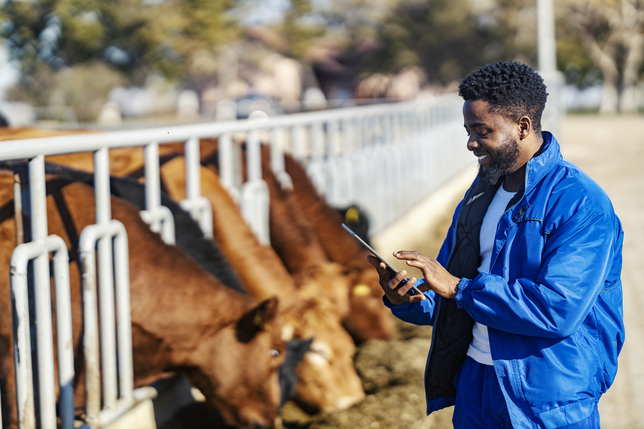 African Land: Dairy Investment Opportunities in Africa
