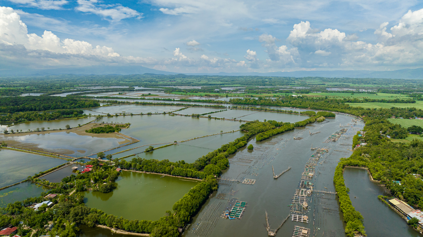 African Land: Your Partner in Africa’s Fish Farming Industry