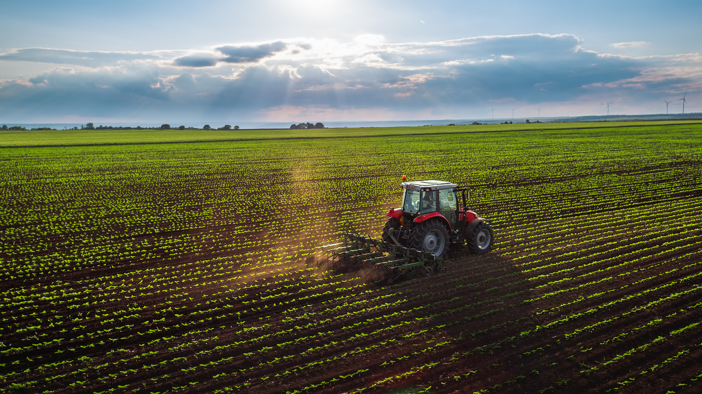 African Land: Profitable Crop Investment Opportunities Across Africa
