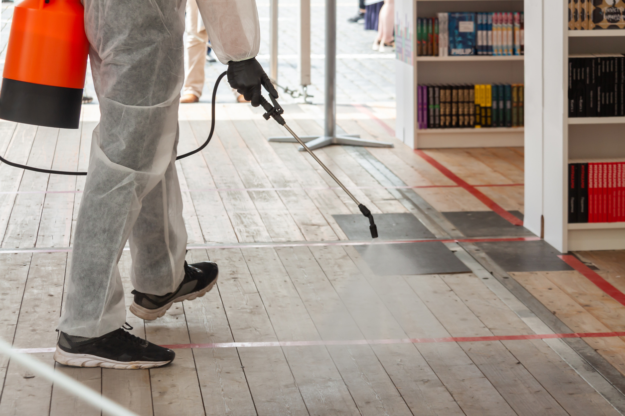 Launching a Pest Control Service in Nigeria: Business Setup & Insights
