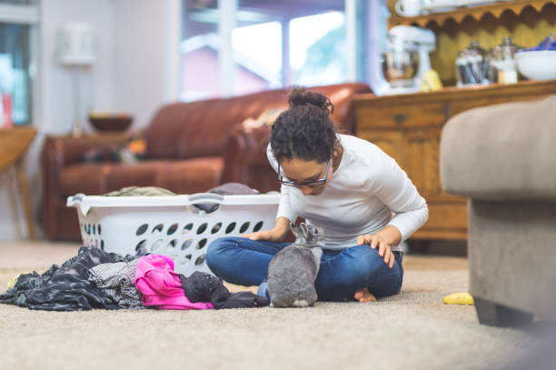  Discover How African Land Supports Property Maintenance Like TaskRabbit