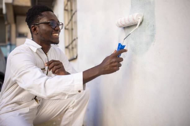 Local Painter and Decorator in Lagos, Nigeria