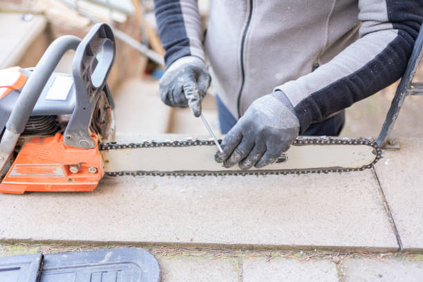 High-Quality Mini Chainsaw in Lagos Nigeria  Ideal for Garden & Real Estate Use