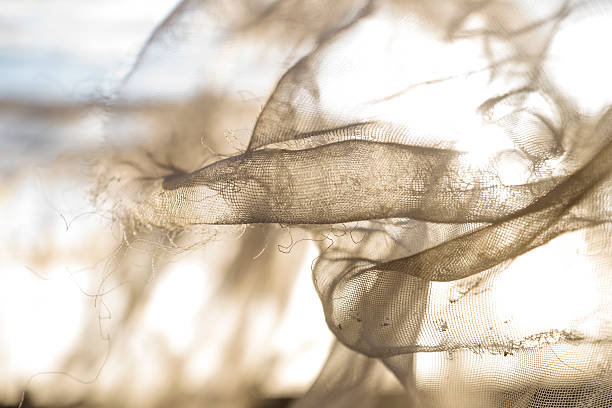  High‑Quality Tarpaulin in Lagos Nigeria Protection for Construction & Real Estate