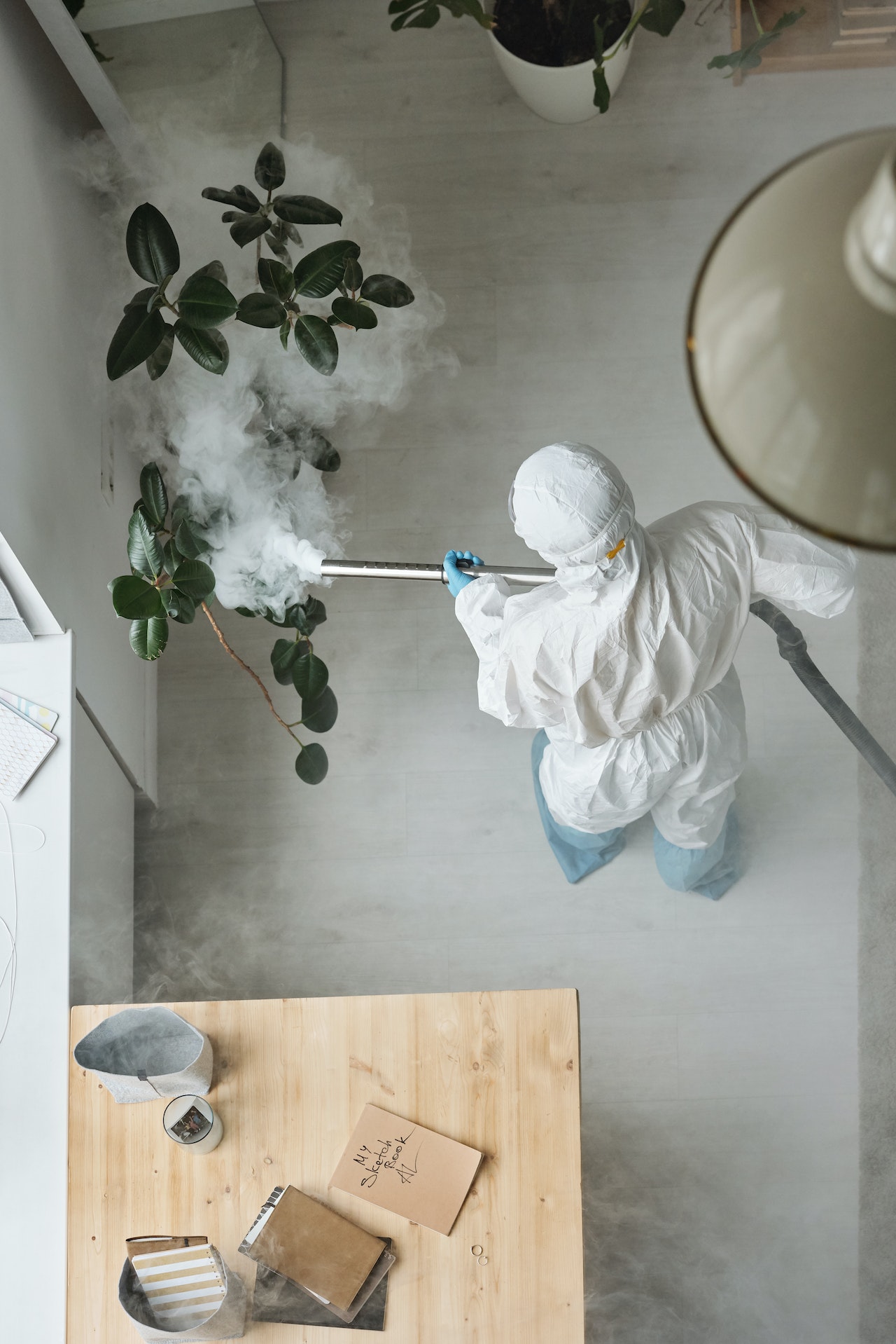 Fumigation & Pest Control in Ghana: Everything You Need to Know