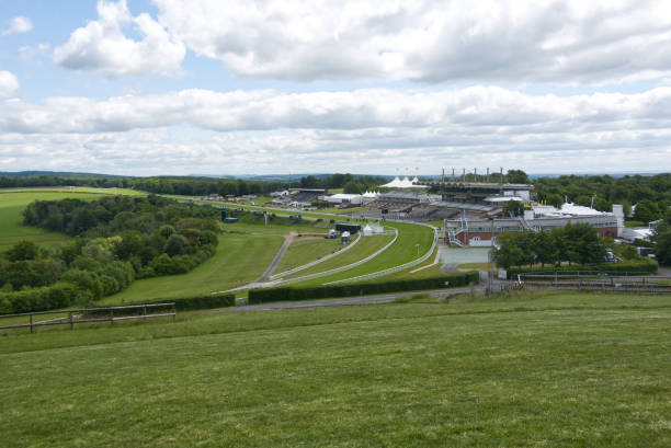 Buy a House in Goodwood Comfortable Homes & Value‑Driven Living