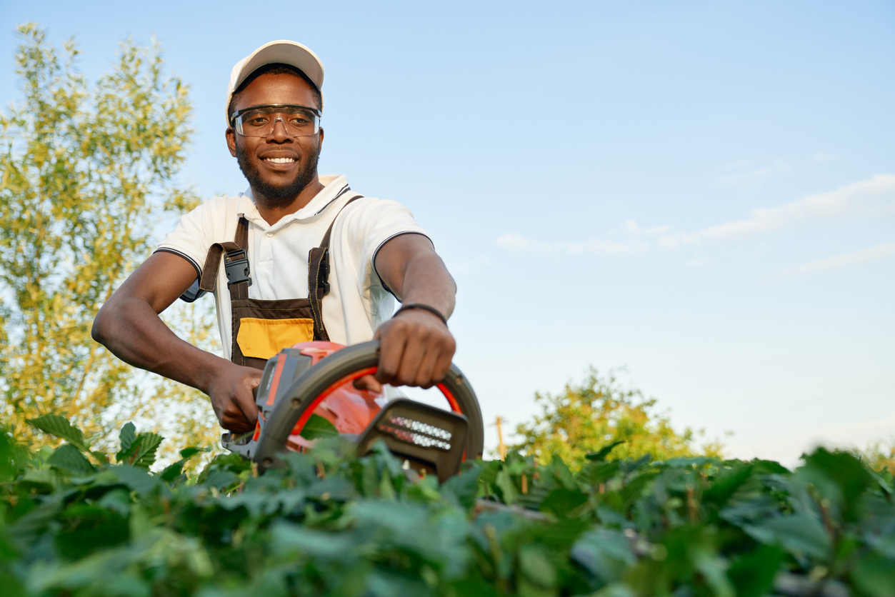 Lagos' Best Gardening Services: Locally Sourced and Professionally Managed