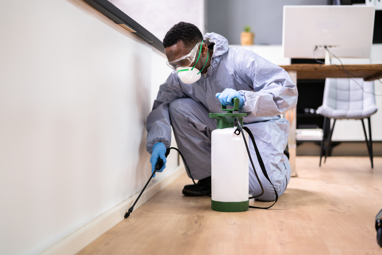 5 Tips For Pest Control In Lagos