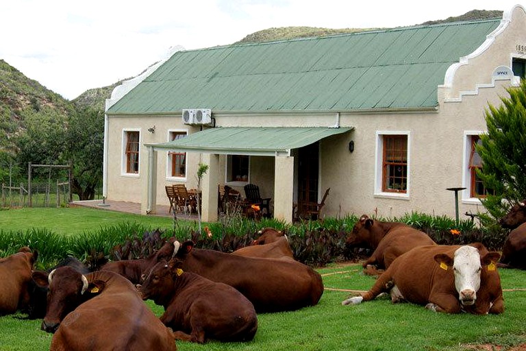  Find Houses for Sale in Swellendam South Africa
