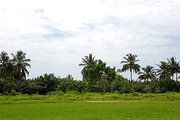 Buy Land in Ghana - A Practical Guide for Secure Land Investment