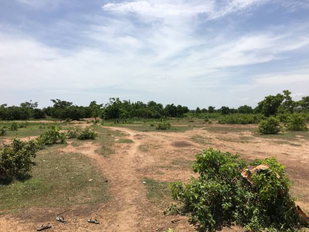 Investment Land for Sale Ghana - Secure Development Sites With Growth Potential