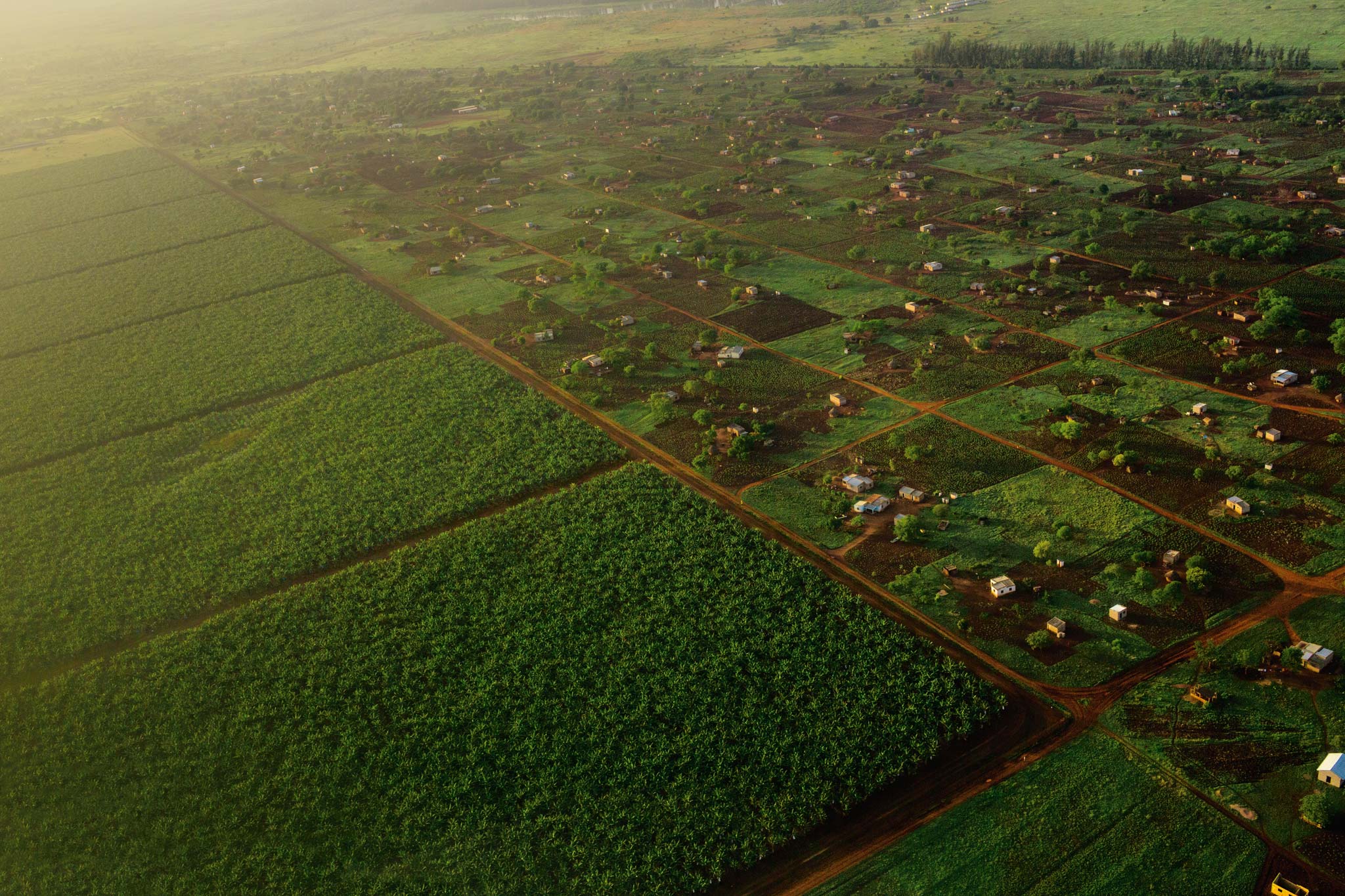 A Guide to Finding the Cheapest Farm Land in Africa