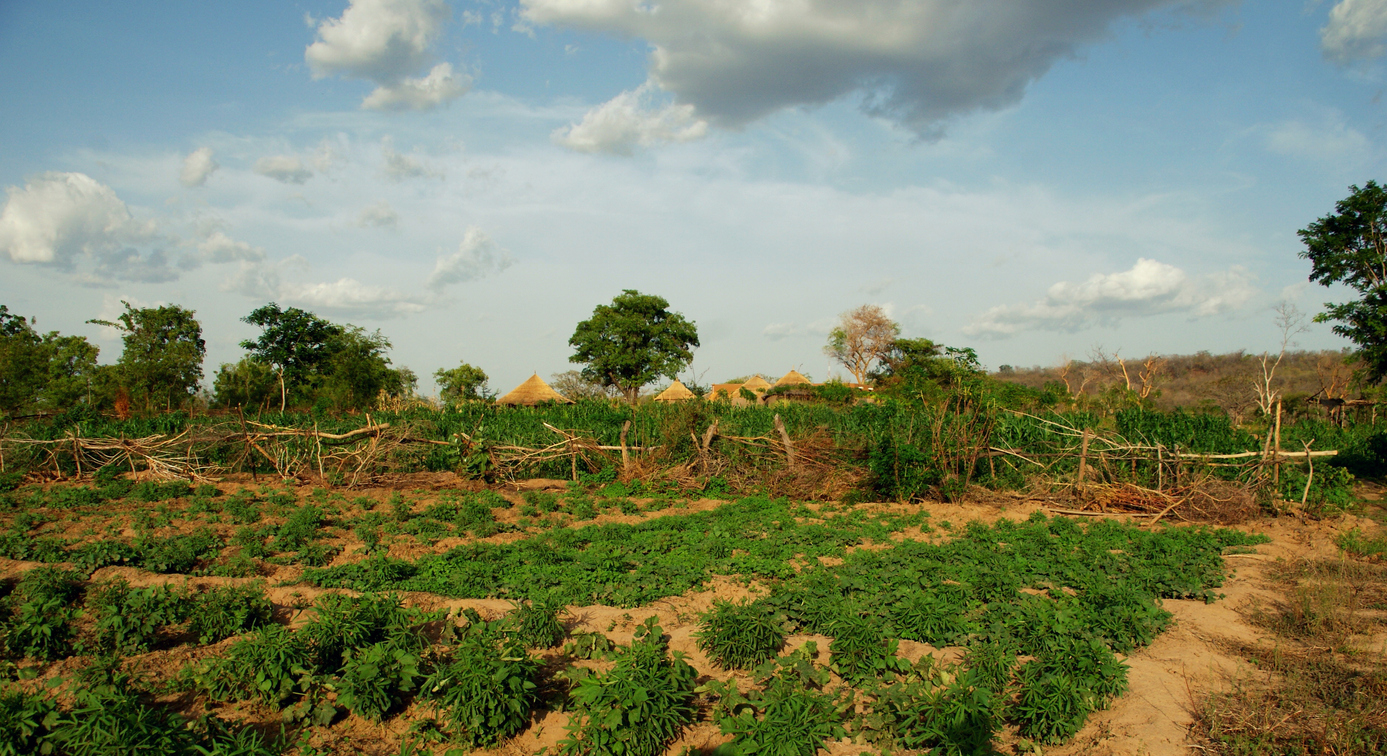 How To Find Investors For A Farm Project In Africa