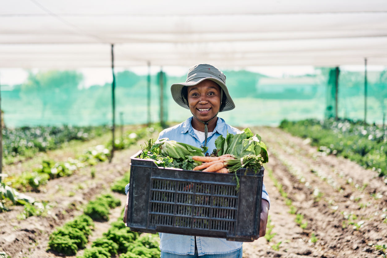 Discover the hidden gems of Central African Republic's agricultural sector with African Land