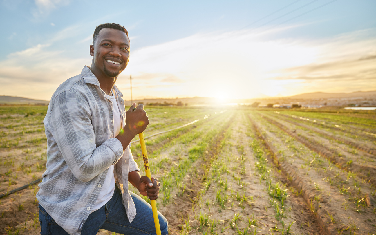 Unlocking Africa's Agricultural Potential: Why Investors are Eyeing Farm Projects