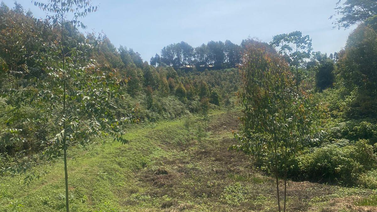 25 Acres of Pristine Land with River Frontage in Riara Ridge/Tigoni Area