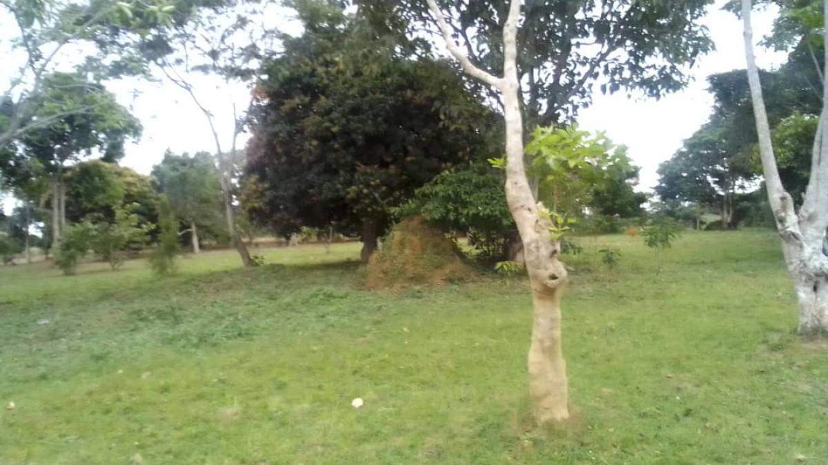 Exquisite Lakefront Land Opportunity Opposite Entebbe International Airport
