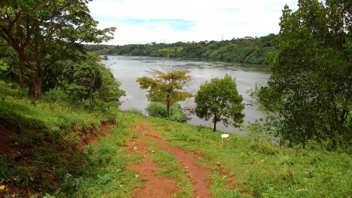6 Acres for Sale on the Banks of the Nile in Jinja with Land Title
