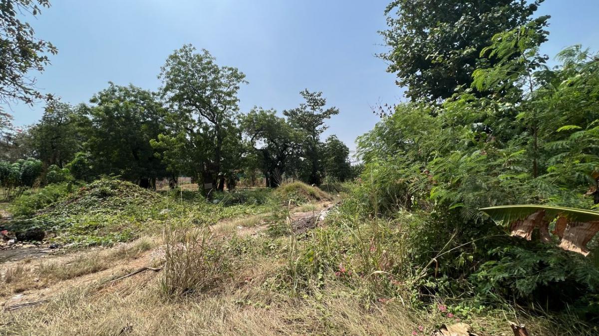 Exclusive 2.89-Acre Land for Sale in Cantonments - Prime Location Near Diamond in City