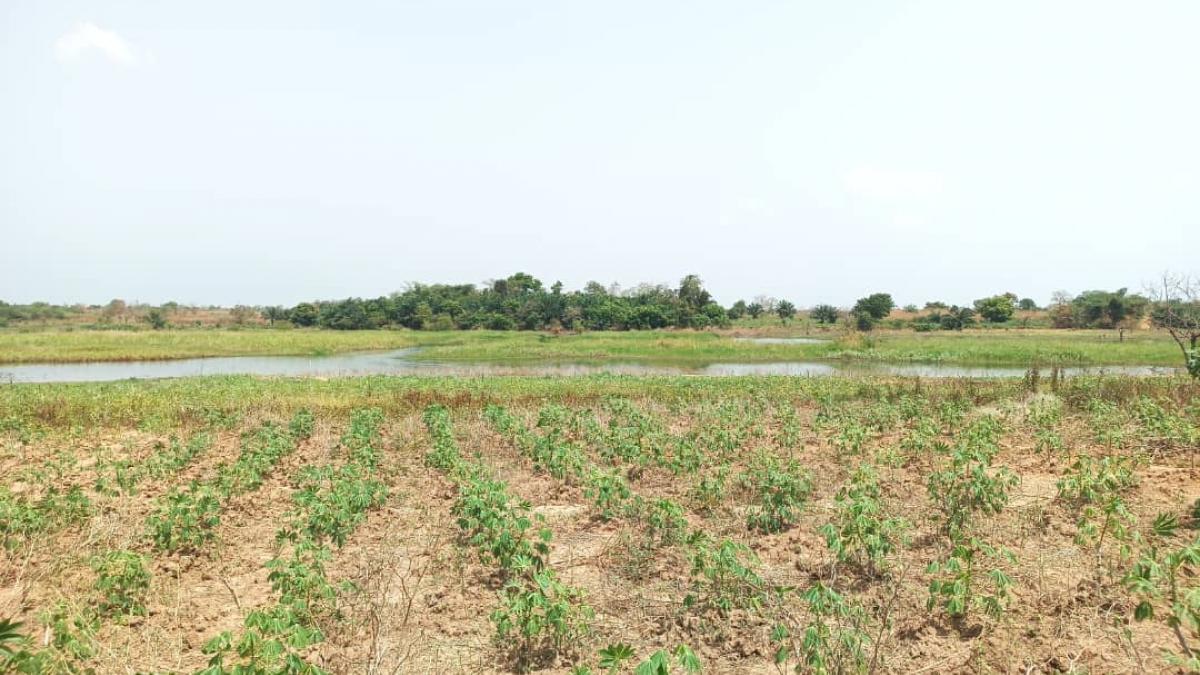 Prime 100+ Acre Farmland with Volta River Access for Sale in Have