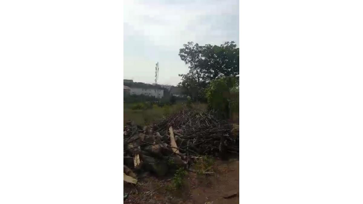 2 bed flat to let, Crown Lodge, Elystan Street - African Land