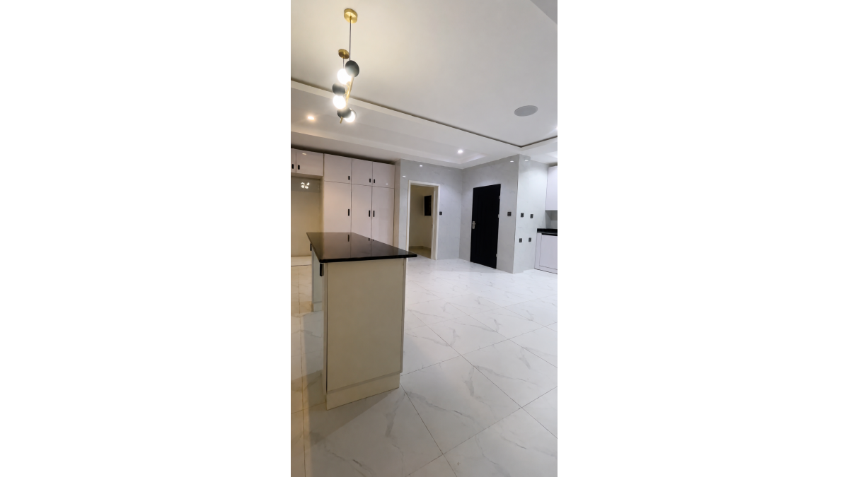 Brand New 9-Bedroom Fully Detached Contemporary Mansion for Sale in Asokoro, Abuja – ₦6 Billion
