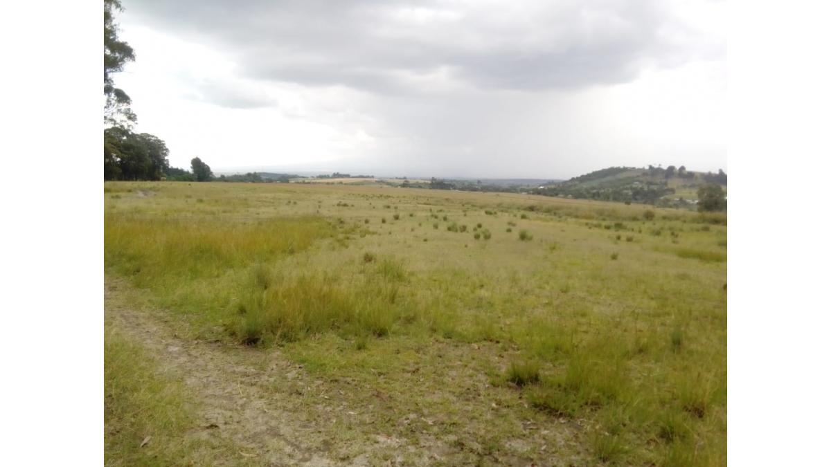 50 Acres Freehold Agricultural Land for Sale in Endarasha, Nyeri County, Kenya