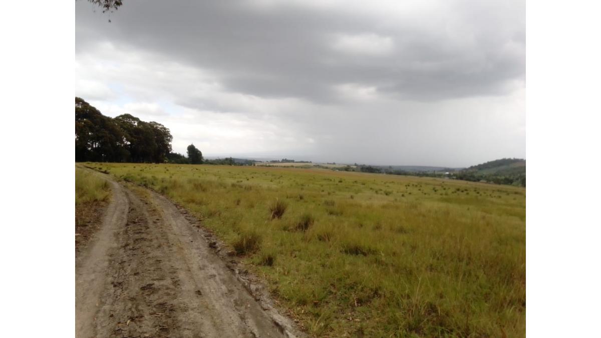 2 bed flat to let, Crown Lodge, Elystan Street - African Land