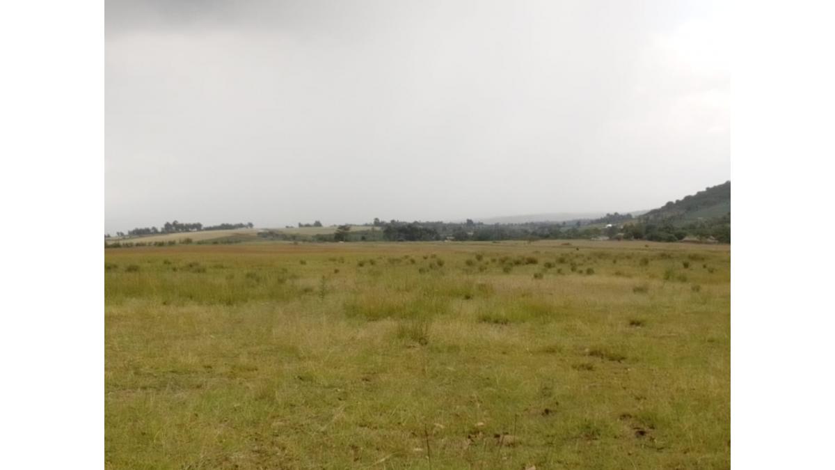 2 bed flat to let, Crown Lodge, Elystan Street - African Land