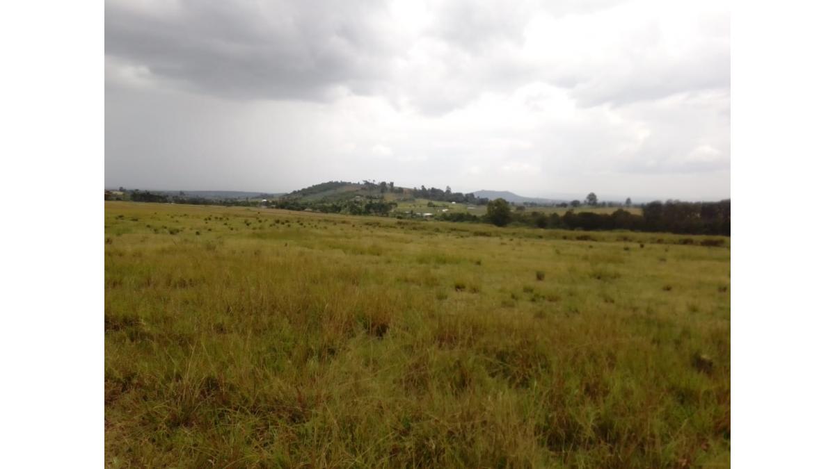 2 bed flat to let, Crown Lodge, Elystan Street - African Land