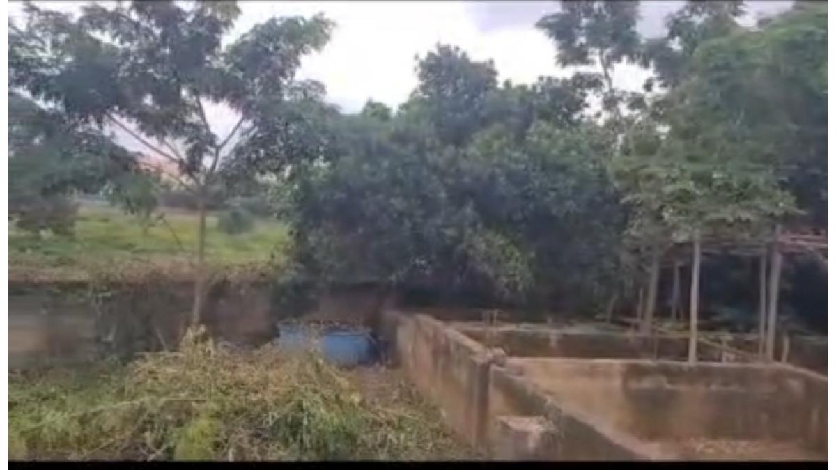 2 bed flat to let, Crown Lodge, Elystan Street - African Land