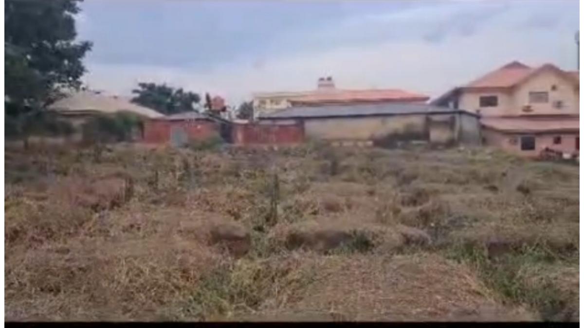 2 bed flat to let, Crown Lodge, Elystan Street - African Land