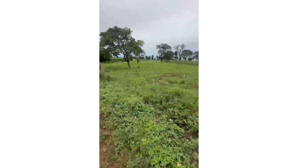 2 bed flat to let, Crown Lodge, Elystan Street - African Land