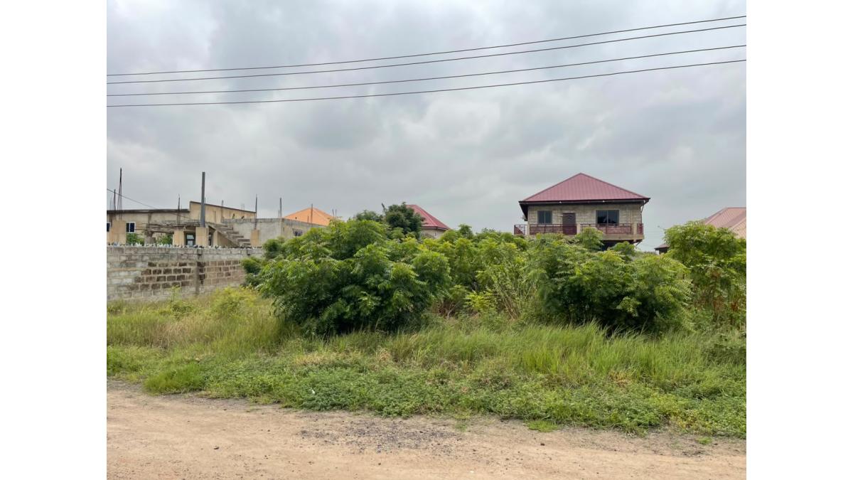 2 bed flat to let, Crown Lodge, Elystan Street - African Land