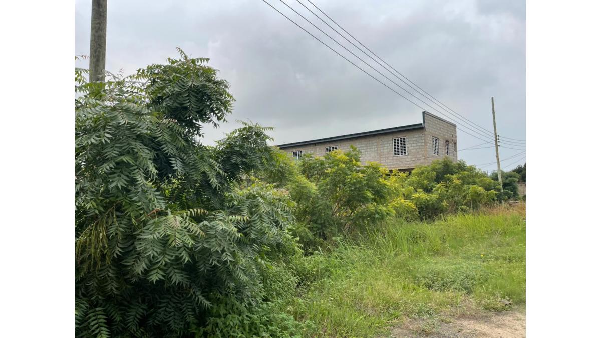 2 bed flat to let, Crown Lodge, Elystan Street - African Land