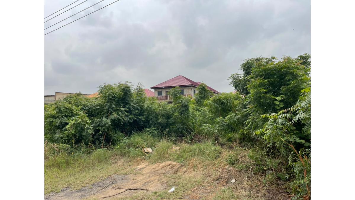2 bed flat to let, Crown Lodge, Elystan Street - African Land