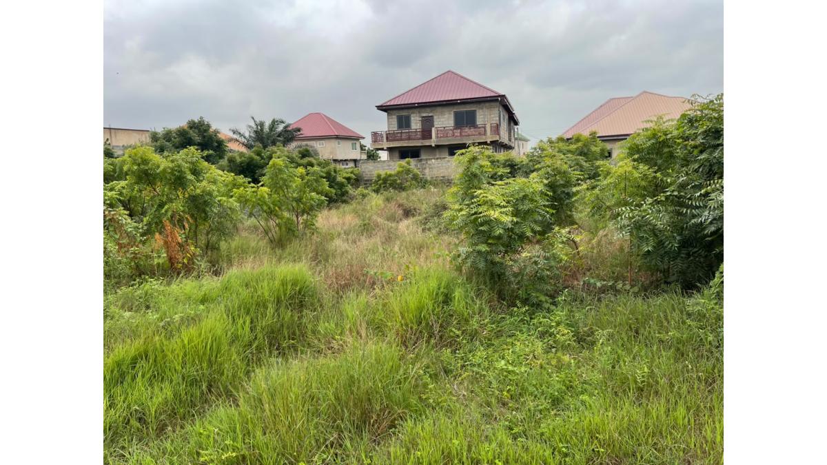 2 bed flat to let, Crown Lodge, Elystan Street - African Land