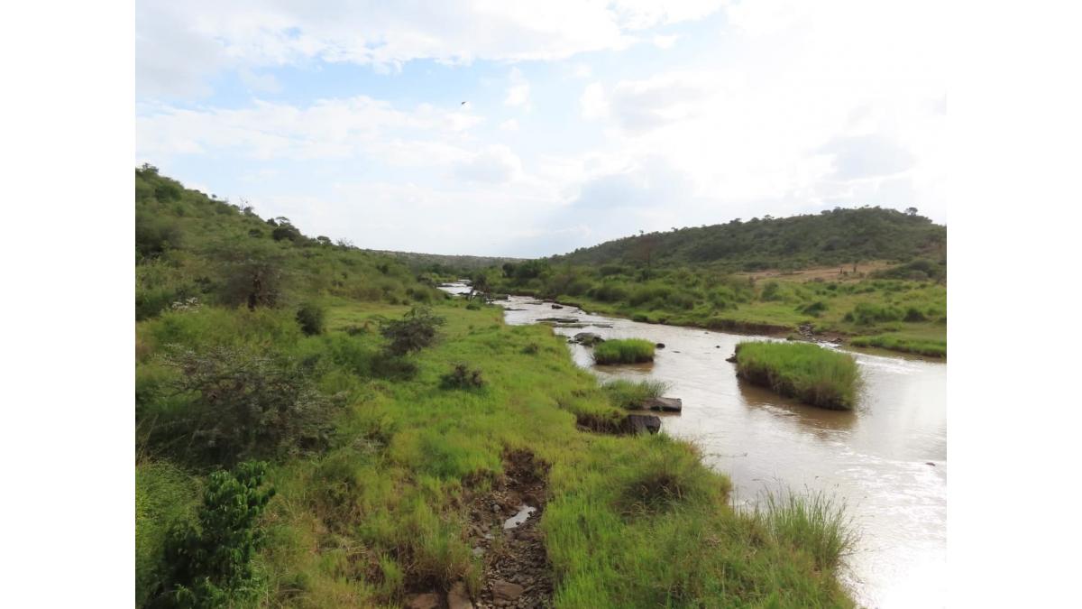 2 bed flat to let, Crown Lodge, Elystan Street - African Land