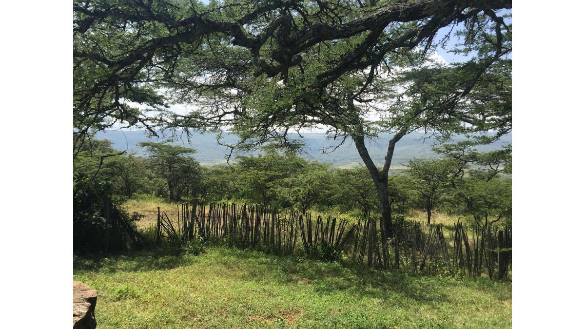 2 bed flat to let, Crown Lodge, Elystan Street - African Land