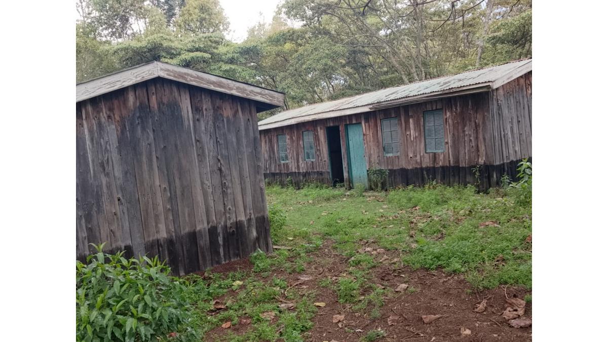 230-Acre Prime Ranch for Sale in Naivasha, Kenya – Lake Frontage & Development Potential