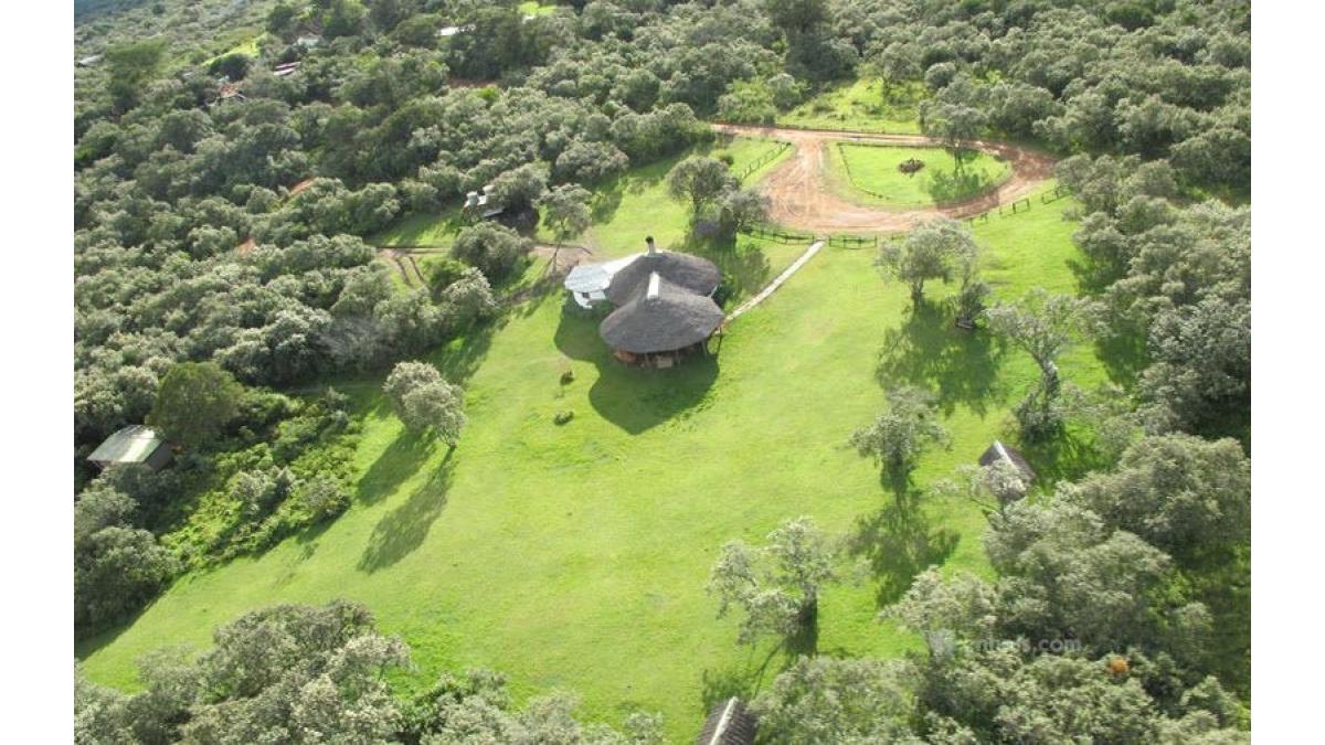2 bed flat to let, Crown Lodge, Elystan Street - African Land