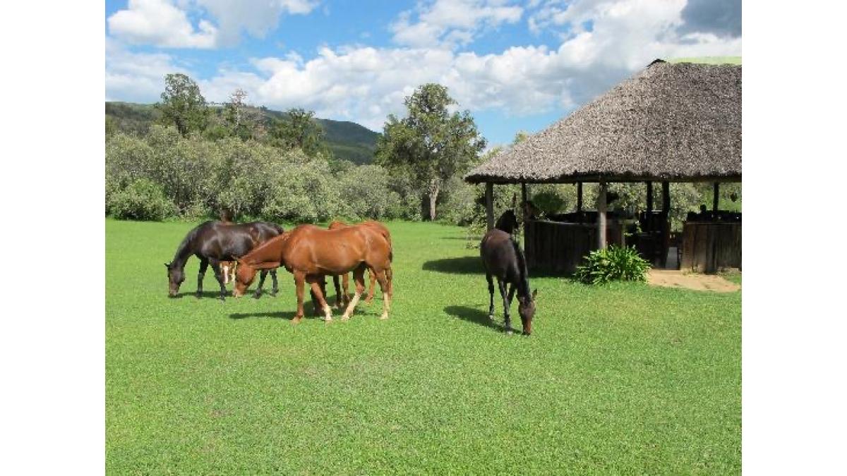 2 bed flat to let, Crown Lodge, Elystan Street - African Land