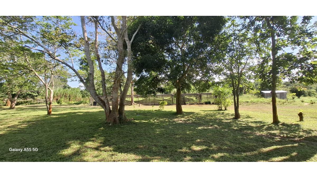 2 bed flat to let, Crown Lodge, Elystan Street - African Land