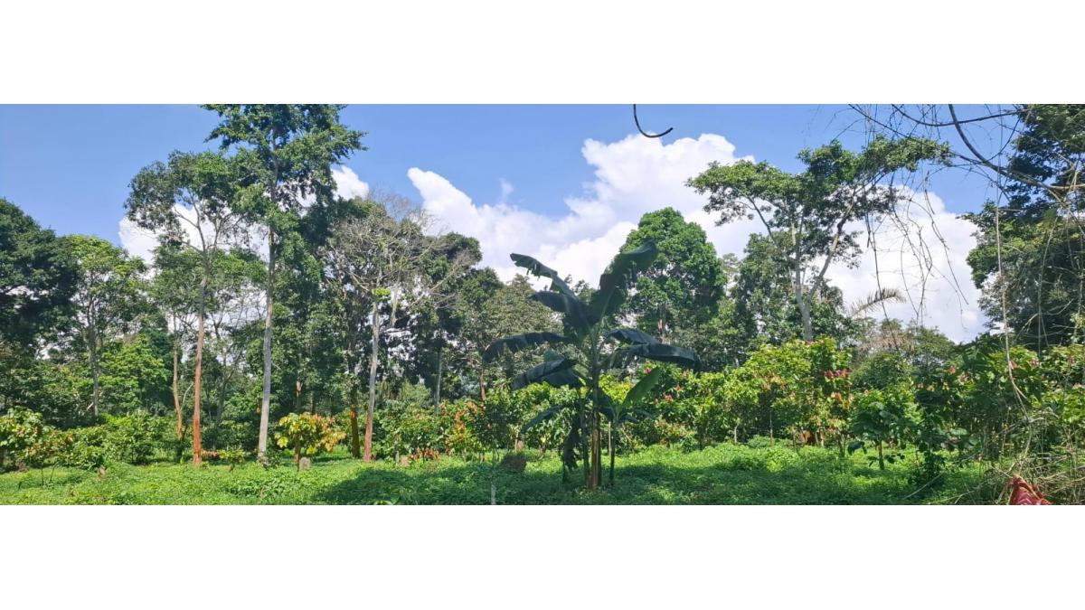 2 bed flat to let, Crown Lodge, Elystan Street - African Land